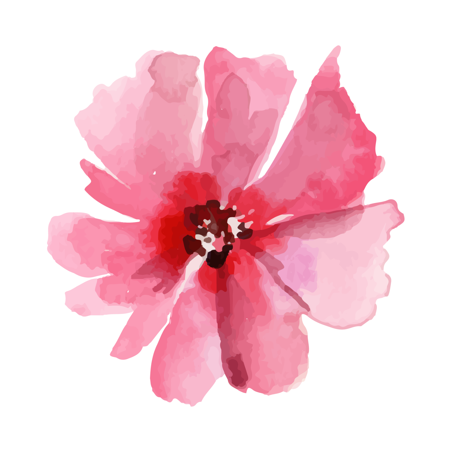 Just Ximena Cosmetics